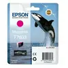 Image de Epson Cartouche d'encre - Magenta