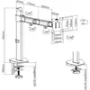 Image de ACT AC8335 Support de Bureau pour Écran Plat - 81,3 cm (32") - Argent