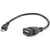 Image de Gembird Câble USB Rallonge - 15 cm