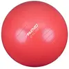 Image de Avento Ballon de fitness 65 cm - Rose