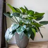 Image de Capi Vase élégant Groove - Anthracite