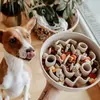Image de Mangeoire lente pour chiens - DISTRICT70