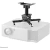 Image de Neomounts Support écran orientable - Noir
