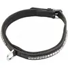 Image de Collier de chasse chien en cuir clincher HORKA Noir 60 cm 180801-232