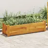 Image de VIDAXL Lit surélevé de jardin - Bois d'acacia, 100x30x25 cm