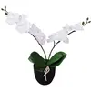 Image de VIDAXL Plante artificielle Orchidée avec pot - 30 cm
