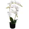 Image de Orchidée avec Pot vidaXL - 65 cm - Blanc