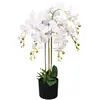Image de VidaXL Orchidée artificielle - 75 cm