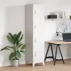 Image de vidaXL Armoire à casier - Gris