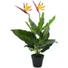 Image de Plante artificielle de Strelitzia Reginae