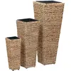 Image de vidaXL Ensemble de Lits Surélevés 3 pcs Jacinthe d'Eau Marron