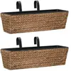 Image de vidaXL Jardinières 2 pcs Jacinthe d'eau