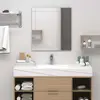 Image de vidaXL Miroir mural 100x60 cm
