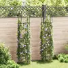 Image de vidaXL Arche de jardin - Lot de 2