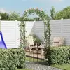 Image de vidaXL Arche de jardin en fer noir 115x37x230 cm