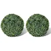 Image de VidaXL Plante boule de buis - 27 cm