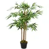 Image de Plante de bambou VidaXL