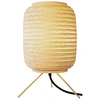 Image de Graypants Lampe de table Ausi blonde - GP2052-B