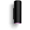 Image de Philips Hue Applique murale d'extérieur APPEAR - White & Color Ambiance - Inox - 2x8W