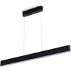 Image de Philips Hue Hue White & Color Ambiance ENSIS Suspension 2x39W - Noir (télécommande non incluse)