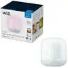 Image de Lampe connectée Hero LED Blanc - WiZ