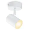 Image de WiZ IMAGEO Spots connectée 1x5W - Blanc variable