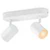 Image de IMAGEO WiZ Spots 2x5W W 22-65K RGB