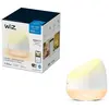 Image de Lampe connectée SQUIRE - RGB - WiZ