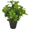Image de vidaXL Laurier Artificiel 40 cm Vert