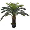 Image de vidaXL Palmier Cycas - Vert