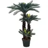 Image de vidaXL Palmier Cycas