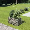 Image de VidaXL Lit surélevé à gabion - Argenté