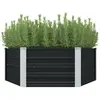 Image de vidaXL Jardinière surélevée - Anthracite 129x129x45 cm