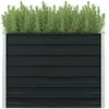 Image de vidaXL Jardinière surélevée 100x100x77 cm Anthracite