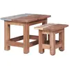 Image de VidaXL Tables gigognes - Bois d'acajou 2 pcs