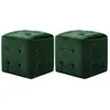 Image de VidaXL Poufs Velours