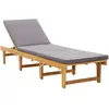 Image de vidaXL Chaise longue pliante