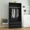 Image de vidaXL Garde-robe - Noir - 100x50x200 cm