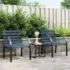 Image de vidaXL Chaises de jardin - Lot de 2 - Gris