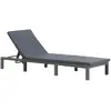 Image de vidaXL Chaise longue en résine tressée - Anthracite