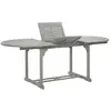 Image de vidaXL Table de jardin extensible 150-200 cm Gris