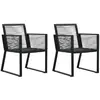 Image de vidaXL Chaises de jardin - Lot de 2 - Noir Rotin PVC