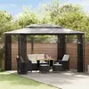 Image de vidaXL Tonnelle avec moustiquaire 300x400 cm - Anthracite