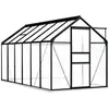 Image de vidaXL Serre avec cadre de base 7,03 m²