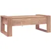 Image de vidaXL Table basse teck massif