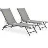 Image de vidaXL Lot de 2 Chaises Longues Gris