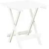 Image de vidaXL Table pliable jardin 45x43 - Plastique blanc