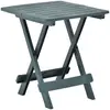 Image de vidaXL Table pliable de jardin - Vert