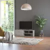 Image de vidaXL Meuble TV gris béton