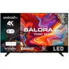 Image de Salora SMART50TV
